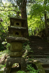 日光