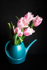 A beautiful bouquet of pink tulips in a water can on a dark background.