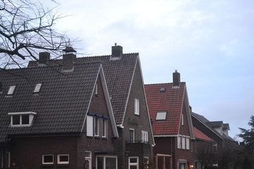 Houses in the netherlands with a tree