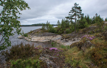 Fototapeta na wymiar Sorola Island. Lakhdenpokh'ya . Karelia