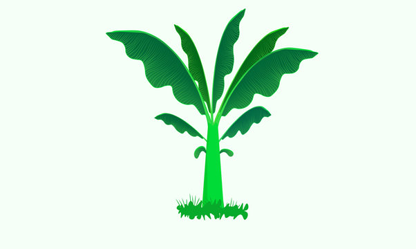 Flat banana tree illustration