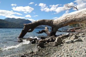 Lago con monta&ntilde;as y &aacute;rbol ca&iacute;do