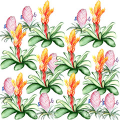 Beautiful tropical flower botany art illustration