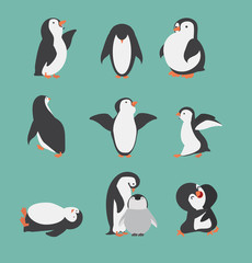Cute penguin characters in different poses set