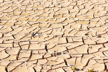 Drought, quartered and dry land