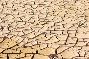 Drought, quartered and dry land