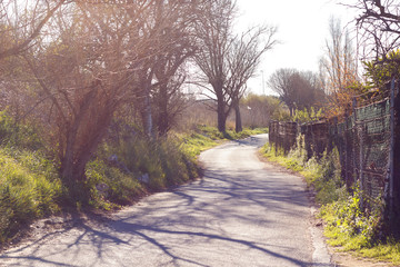 Rural road, agricultural tourism. Road surrounding crop fields