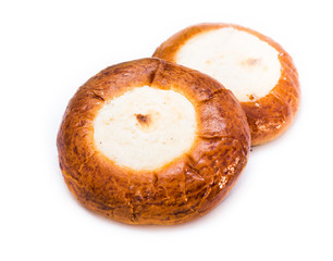 the cheese cakes, on white