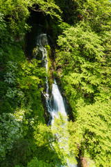 Obraz premium 日光