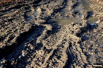 gray marsh and puddles on dirt road. tire tracks in sand