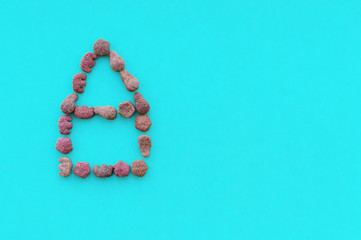 Dry cat food in the form of a house on a blue background with a place for the inscription. The view from the top