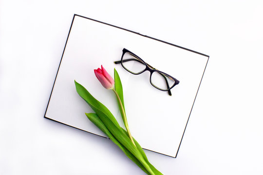 Colorful red tulip with sketchbook, notebook and eyeglasses flat lay isolated on white background top view. Spring flower. Womans day, mothers day celebration. Web banner template. Stock photo