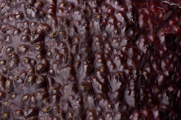 Macro shot of an unpeeled avocado fruit.