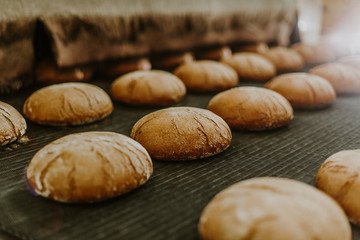 Fresh buns from the oven. Conveyor with bread. Baking bread. Workshop for production of bread. White bread in the oven. Hot buns. Confectionery.