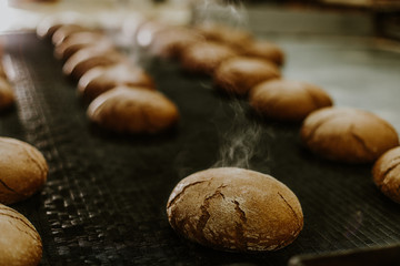 Fresh buns from the oven. Conveyor with bread. Baking bread. Workshop for production of bread. White bread in the oven. Hot buns. Confectionery.