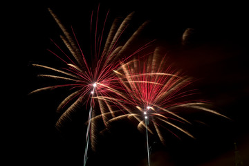 Fireworks isolated on dark background.