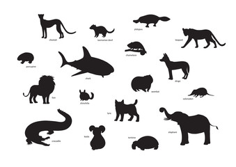 Vector illustration, set of cartoon animal silhouettes. Cheetah, tasmanian devil, platypus, leopard, porcupine, shark, chameleon, dingo, lion, chinchilla, wombat, solenodon