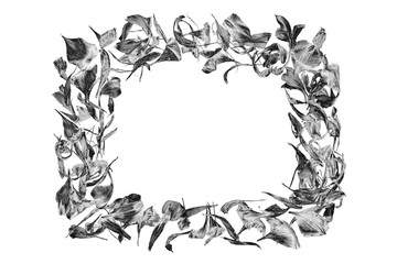 Silver picture frame made of flower petals isolated close up, white background, decorative grey metal floral border, ornamental foliage pattern, gray metallic shiny wreath design element, copy space