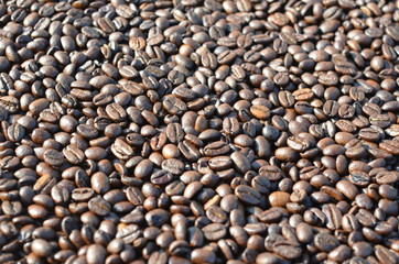 ziarna kawy , tekstylia , tło ziaren kawy , tło z kawy ziaren , kawa , kawa na tapetę , ziarna kawy na płytki , wzór na płyki , wzór nz tapetę , do kawiarni ,na exsres do kawy , 