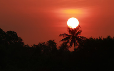 sunset in the desert