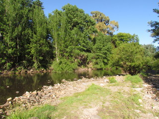 Fototapeta na wymiar River with its preserved riparian forests