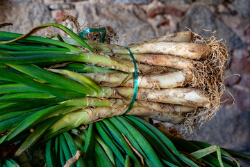 Traditional food Catalonia - Spain