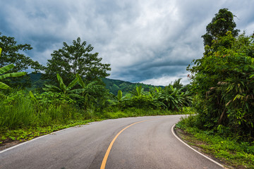 Fototapeta na wymiar Mountain road in the rainy season