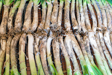 Traditional food Catalonia - Spain