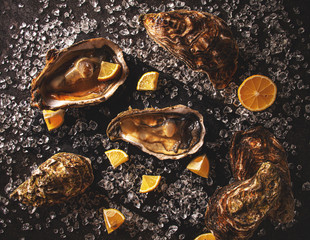 Opened Oysters with ice