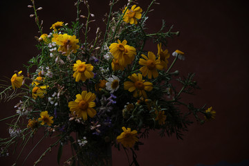 bouquet of wild flowers on a dark red background..