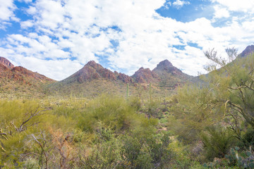 Tucson Mountains on a sunny spring day