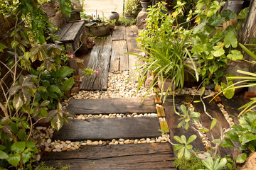 tree in nature garden ,old wood in garden