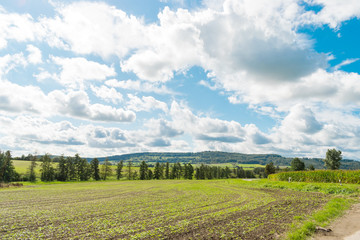 Fototapeta na wymiar Landschaft von Mittelfranken mit dem Hesselberg im Hintergrund