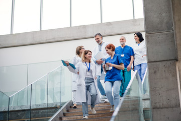 Group of doctors walking down stairs on medical conference.