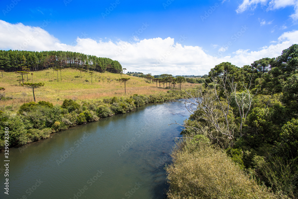 Poster Paisagem com rio e floresta