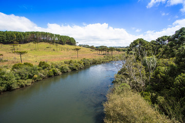 Fototapeta na wymiar Paisagem com rio e floresta