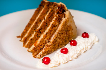 carrot cake with smetana and cranberries
