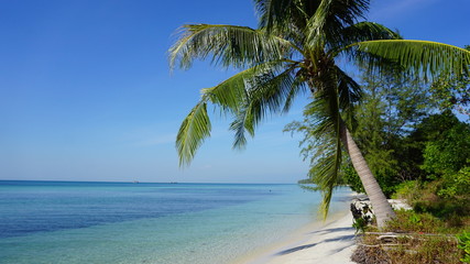 Plage paradisiaque