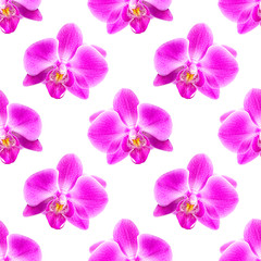 Orchid seamless pattern