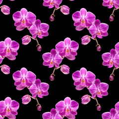 Modèle sans couture d& 39 orchidée