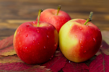 Ripe juicy red apples covered with drops of water as a background