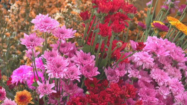 A bouquet of flowers in market for sale to gife of congraturation education to students