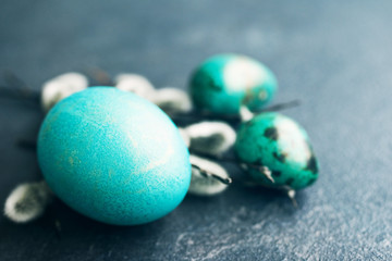 Bright blue and green Easter eggs and fluffy willow branches on a black background, soft focus. Easter background. 