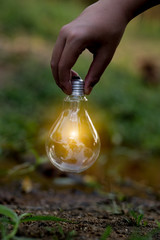 Light bulb Energy saving green nature background bulbs