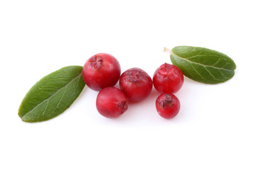 Cowberry