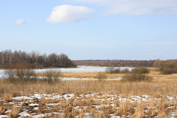 early spring.yellow fields in Russia