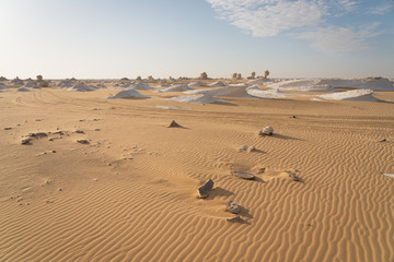 Fototapeta na wymiar Beautiful landscape of White desert in Egypt in a morning, Egypt