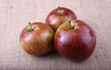 Apples on bagging