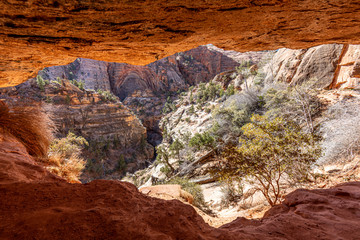 Impression from hiking trail to Pine Creek Canyon overlook in the Zion National park in winter