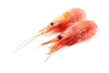 Shrimps